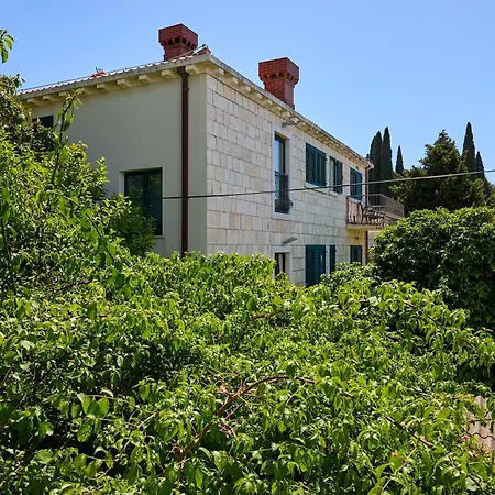 Golden Rose - Walking Distance 1 Km From Old Town Lägenhet Dubrovnik Exteriör bild